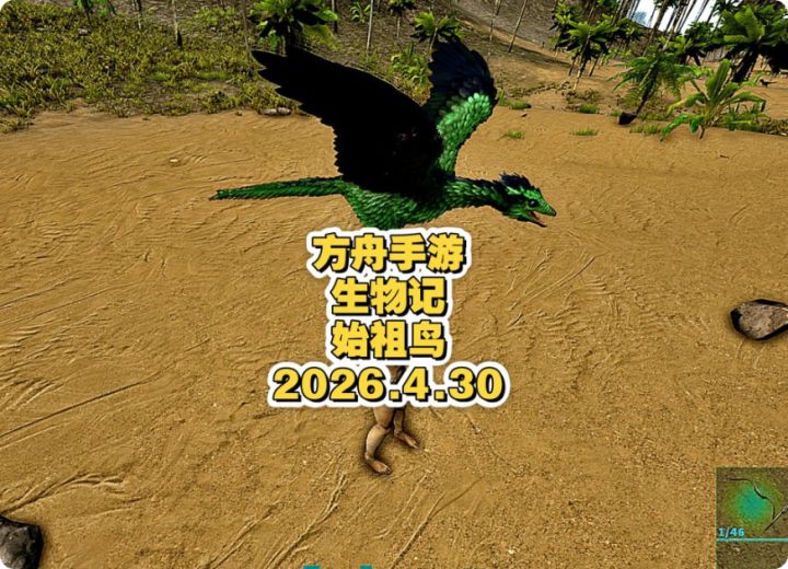 方舟手游生物记之始祖鸟截图