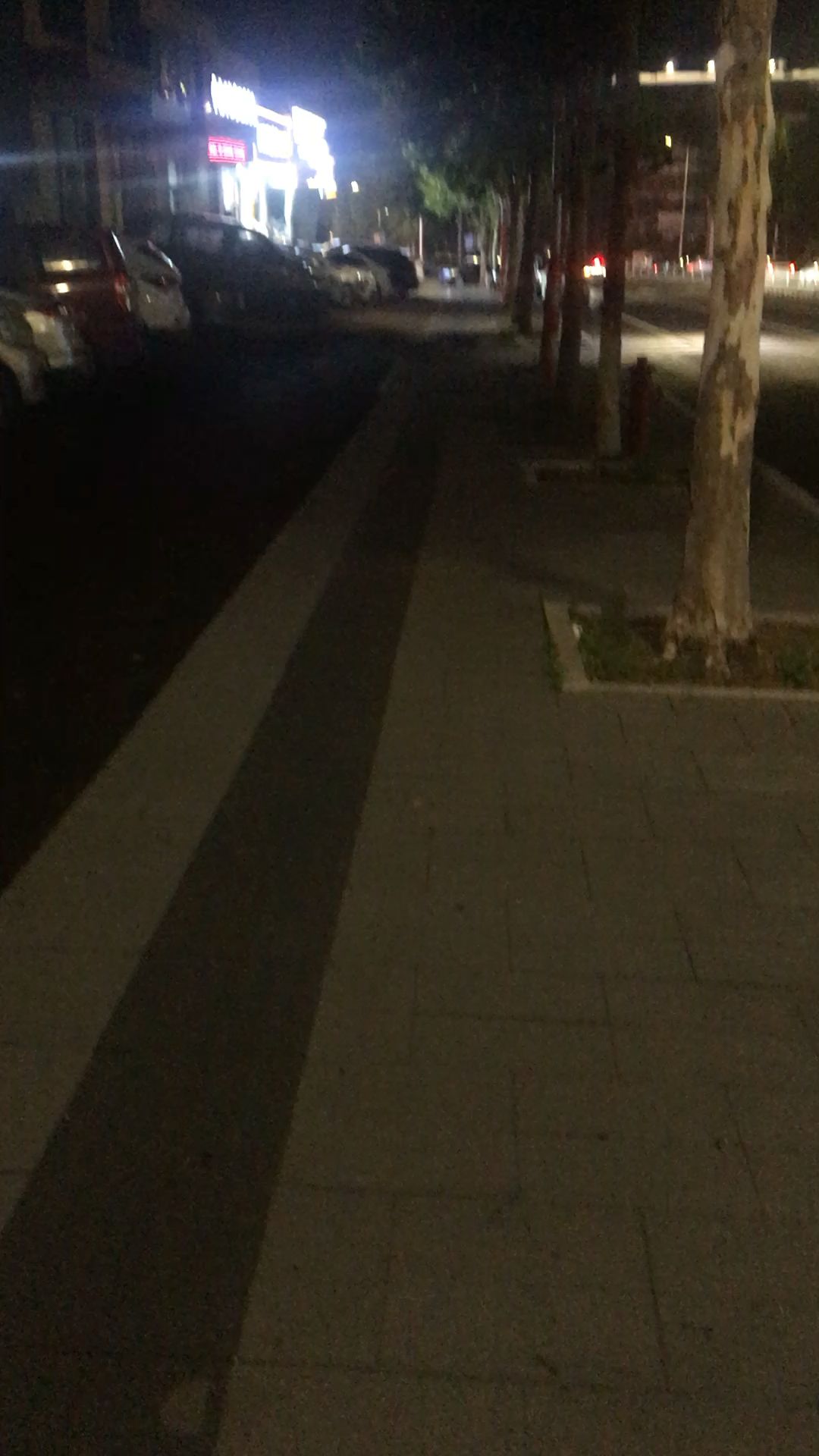 video-4280734