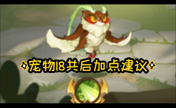 宠物18共鸣后加点建议截图