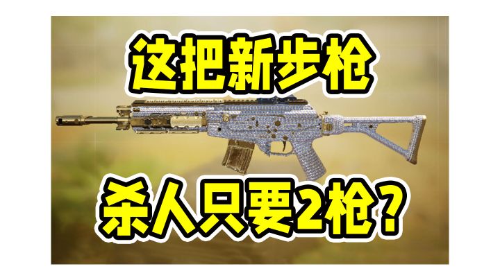 2枪一个小朋友,恐怖如斯的新步枪!截图