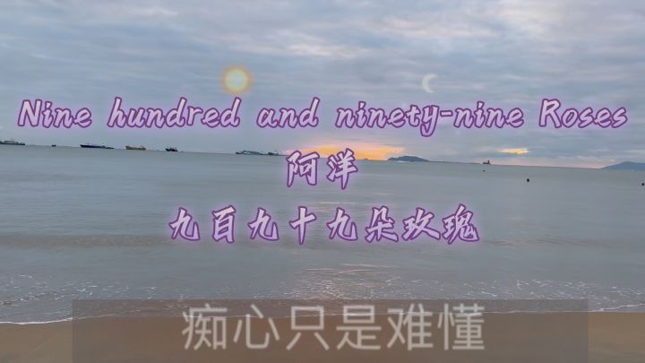 Nine hundred and ninety-nine Roses #阿洋 #九百九十九朵玫瑰截图