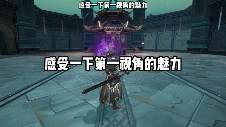 感受一下第一视角的魅力截图