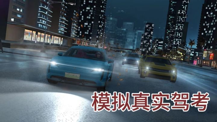 全国各地的真实模拟考场❗️玩着玩着就学会了❓截图