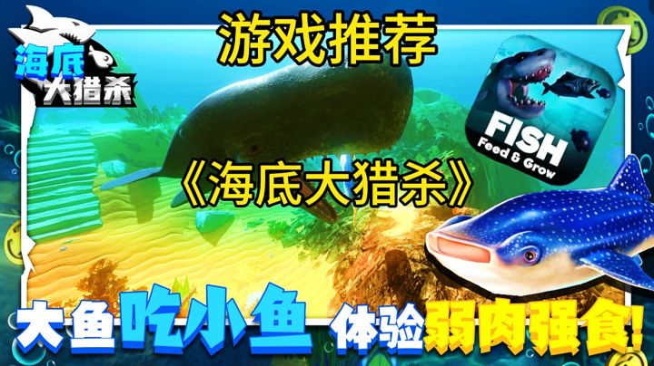 【游戏推荐】海底大猎杀:大鱼吃小鱼,体验弱肉强食的海底世界!截图