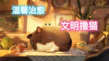 喵咪公寓2 新活动来袭！！！