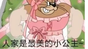 游乐场(猫方最快上火箭速度)