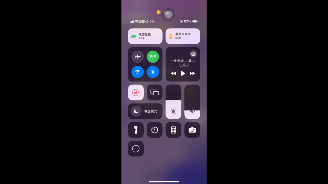 video-4207134
