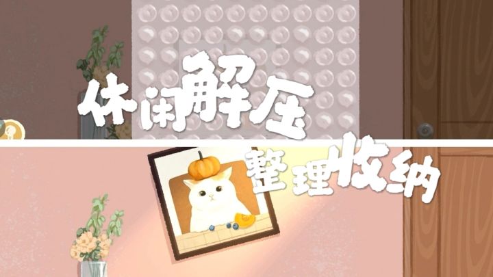 整理收纳,清洗地毯,解压休闲小游戏!截图