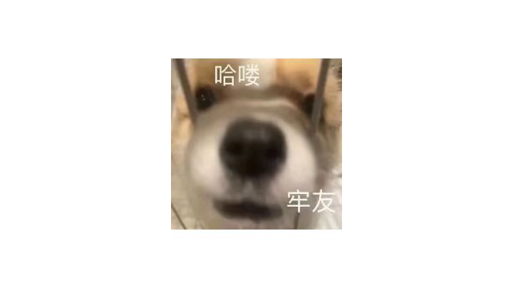 有时候人的崩溃就在一瞬间截图