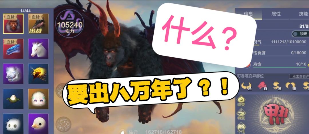 video-4593339