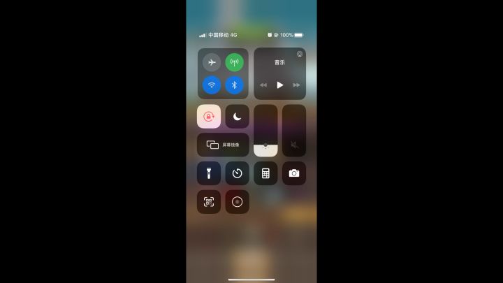 风筝之王-猎人截图