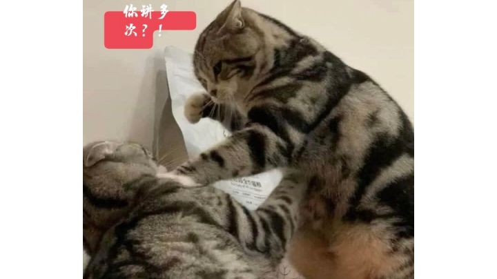 屑麻吉3-10b血条消失术截图