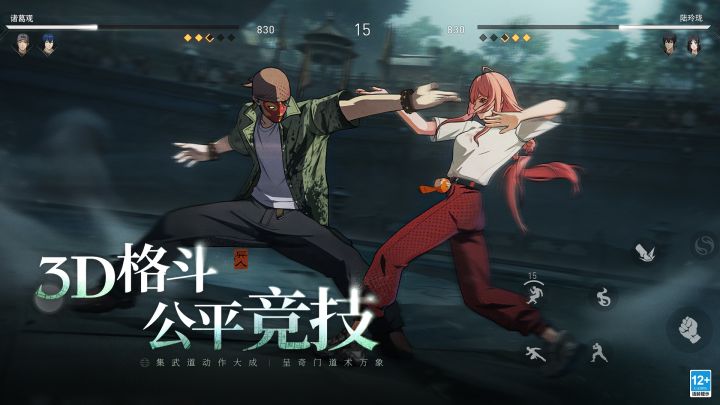 领略极致格斗魅力截图