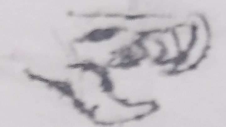 恶魔速通恶魔模式截图