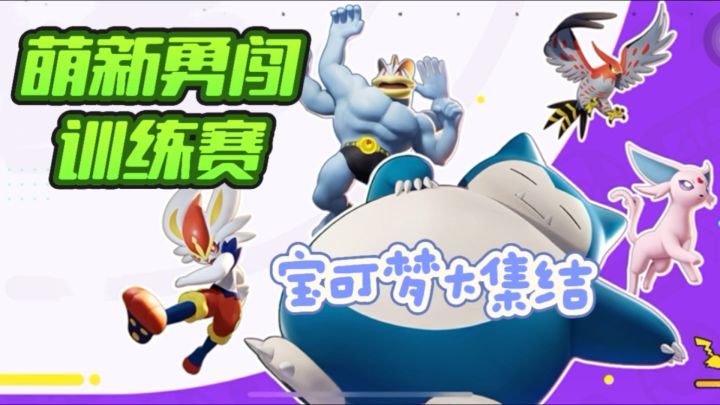 萌新勇闯训练赛，各种闹笑话，哈哈截图