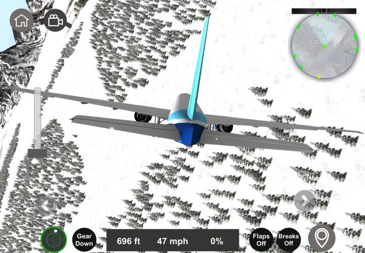 Filght Sim 2024截图