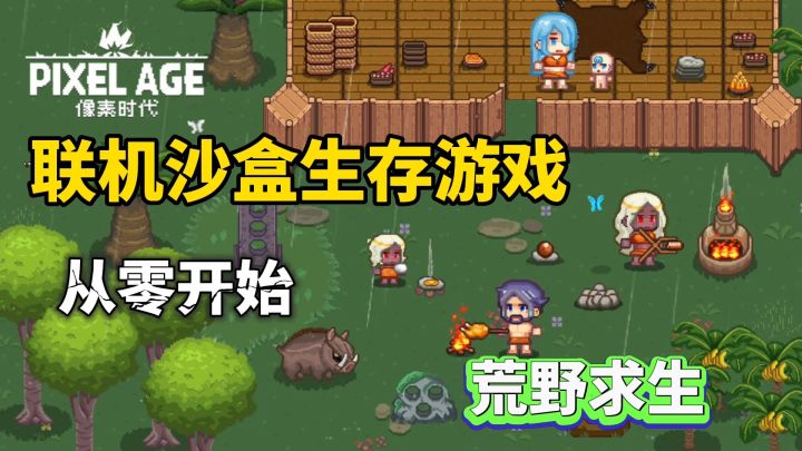 像素时代：从0岁开始的生存游戏！地狱开局你能不能活下来截图
