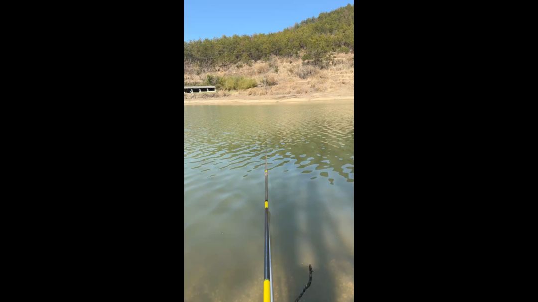 video-4050458
