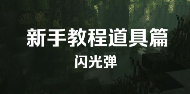 新手闪光弹教程截图