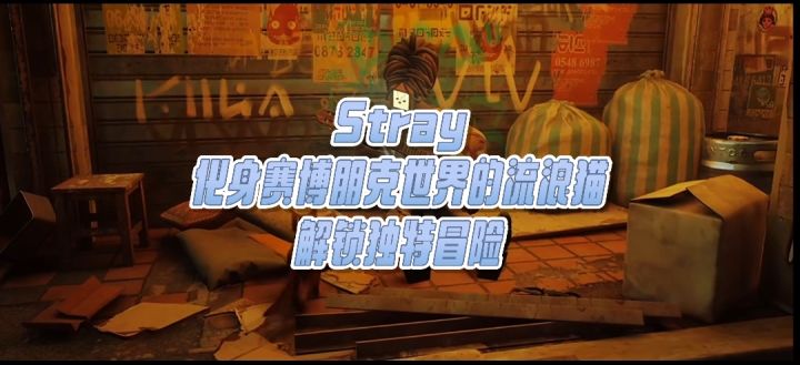 Stray:化身赛博朋克世界的流浪猫,解锁独特冒险截图
