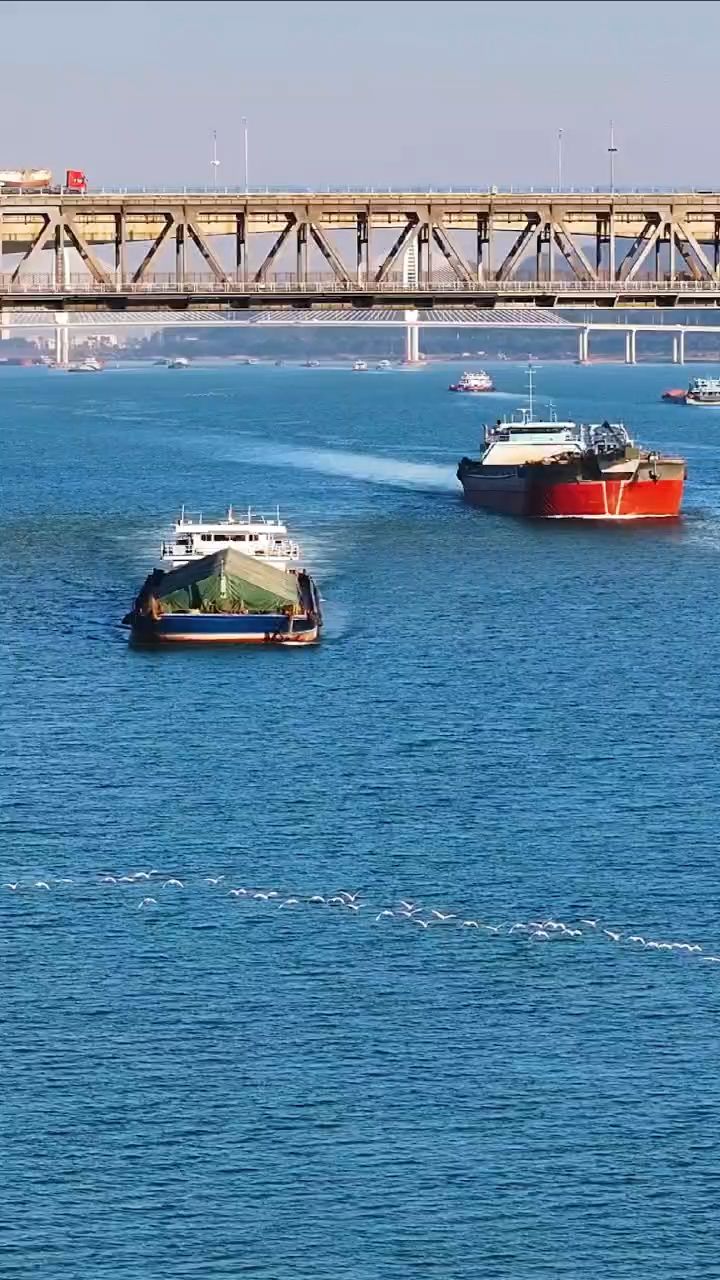 肇庆西江 千帆竞发截图