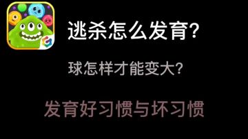 球球进阶教学:淘沙发育篇