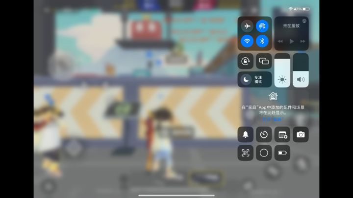 外挂截图