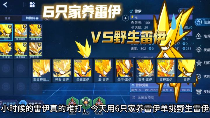 6只家养雷伊vs野生雷伊截图