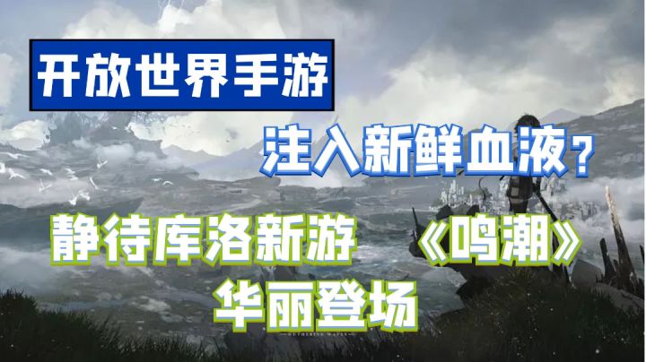【鸣潮】这位更是“重量级”！开放世界手游《鸣潮》即将上线！#童心闪耀#截图