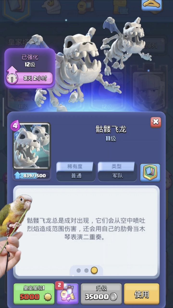 〖皇室战争〗我的骷髅回来啦截图