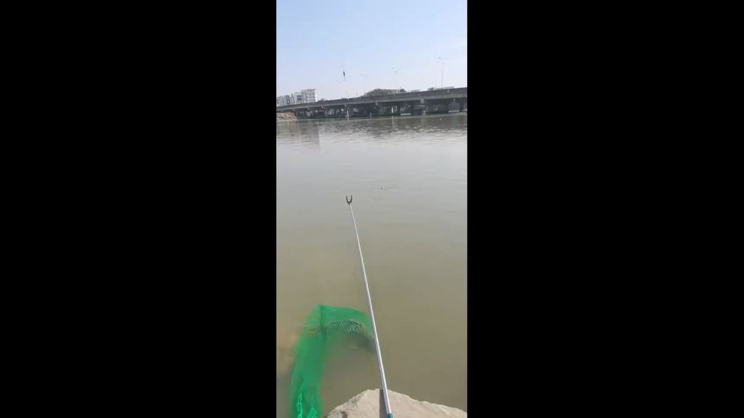 video-4054954