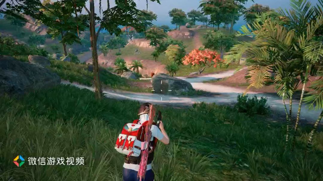 video-4351785