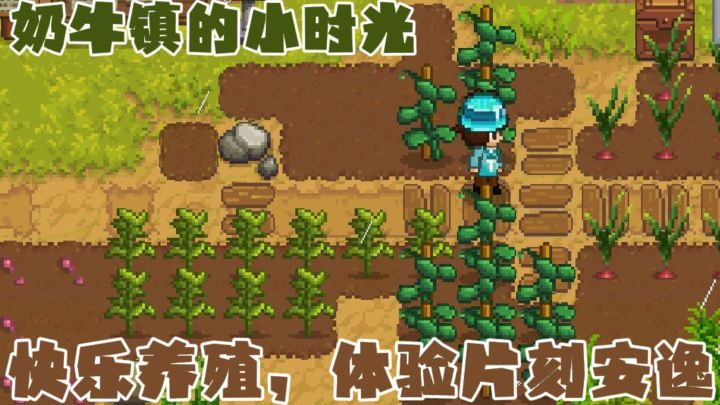 探索小镇居民的秘密与故事,像素画风的模拟乡村种田游戏!!截图
