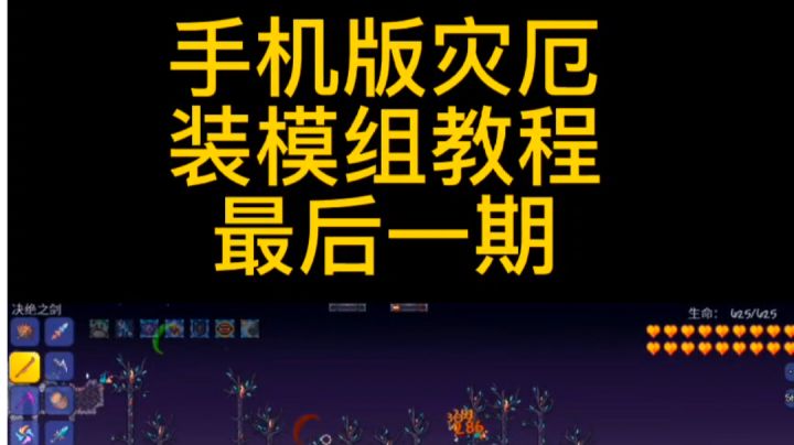 手机版灾厄模组安装教程 完结截图