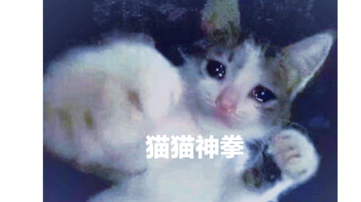 暂时的最后第十关（群里有更新）一命通关截图