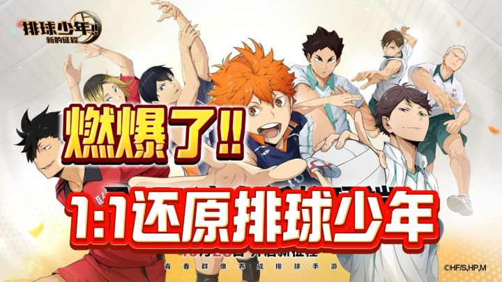 燃爆了!一代人的青春运动!全新动画官方授权的排球少年来了!截图