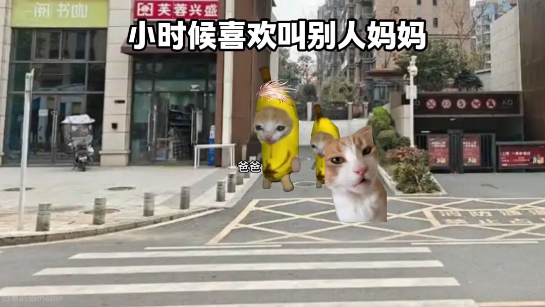 video-5647107