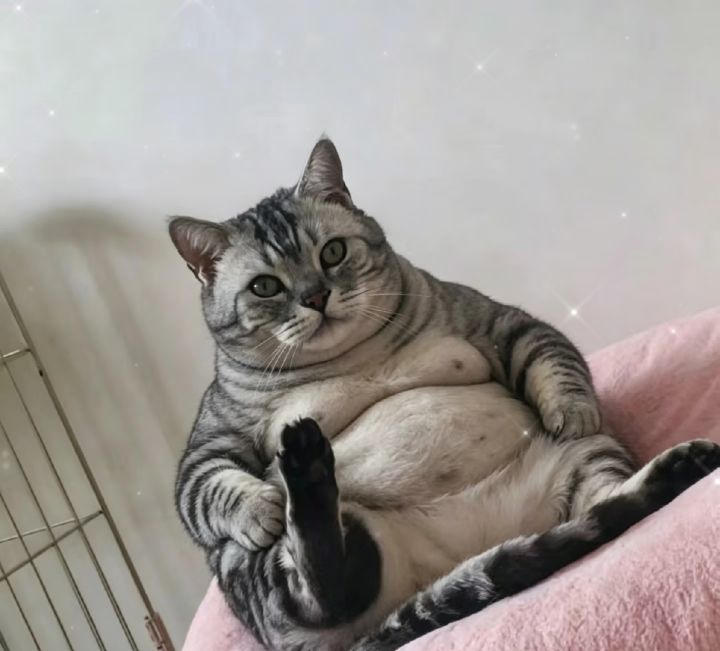我保底呢?截图