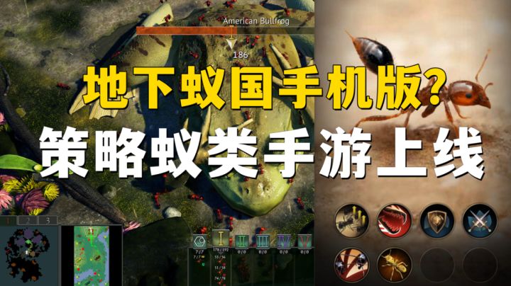 地下蚁国手机版来了?全新霸版手游究竟有什么魔力,教程上线!截图