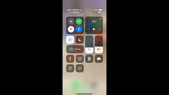 出BUG了 吃了根骨单不加属性截图