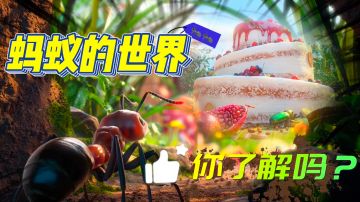 🐜地下搬砖怎么实现？《小小蚁国》告诉你！📢ˎˊ˗——#小小蚁国 公测#