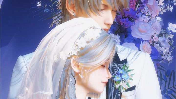 🌟谨以星辰花 致永恒截图