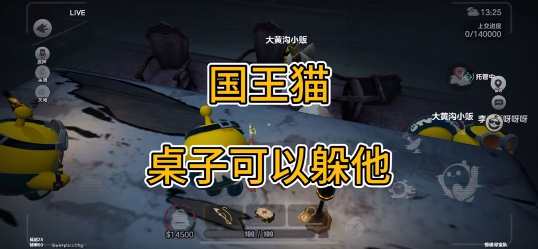 video-5278489