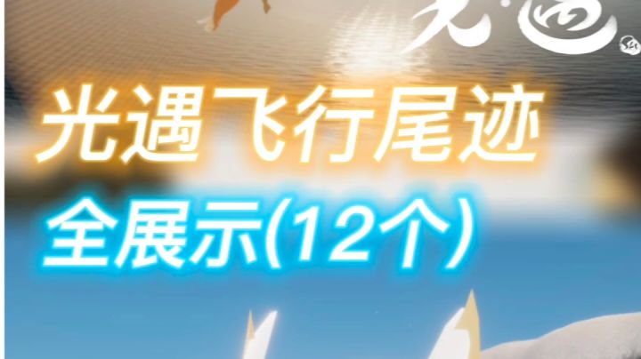 光遇飞行尾迹展示截图
