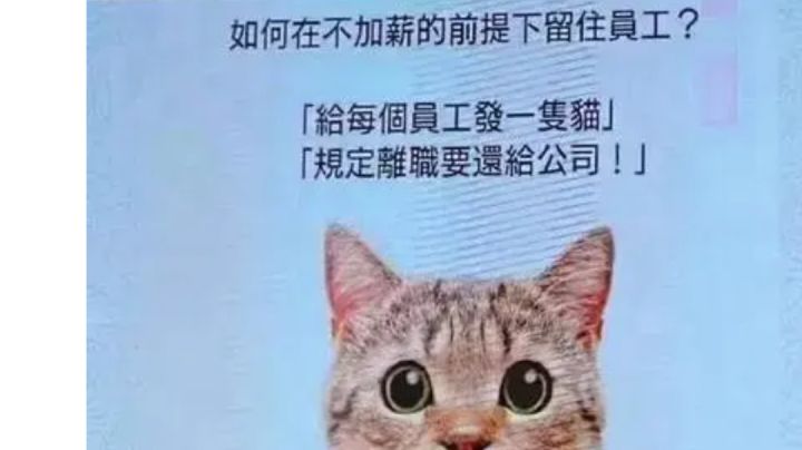 ak117该加强了，连防爆装置都打不炸截图