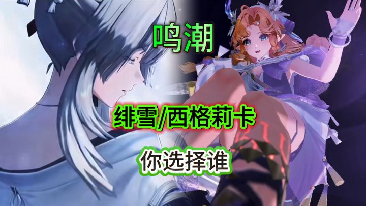 绯雪和西格莉卡你会选择谁截图