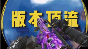 绝对的版本顶流♦ | 枪械该如何选择 | 不如试试这枪【使命召唤手游&CODM】