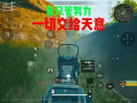 我只管努力，剩下的交给天意