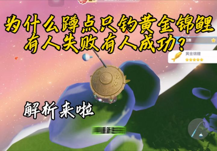 蹲点一直钓黄金锦鲤失败的原因解析截图