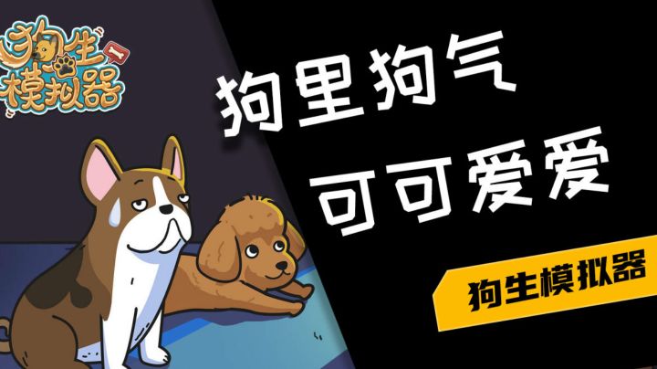 【狗生模拟器】汪汪汪,当狗有什么不好#暑假人集结#截图